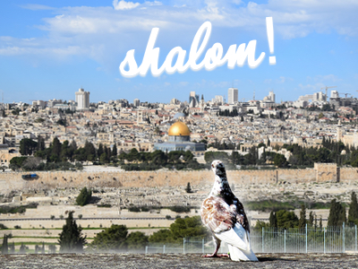 Jerusalem, Collage KIP Jerusalem, Collage KIP