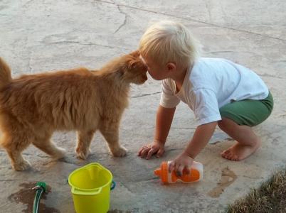 kleines Kind mit Katze
