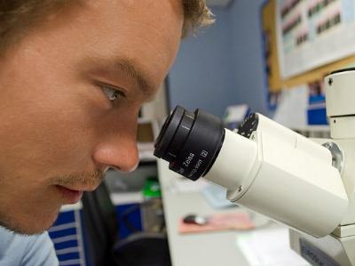 Wissenschaftler schaut in ein Mikroskop