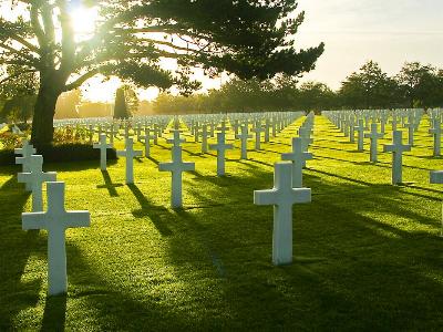 Hunderte weiße Kreuze auf einem Soldatenfriedhof